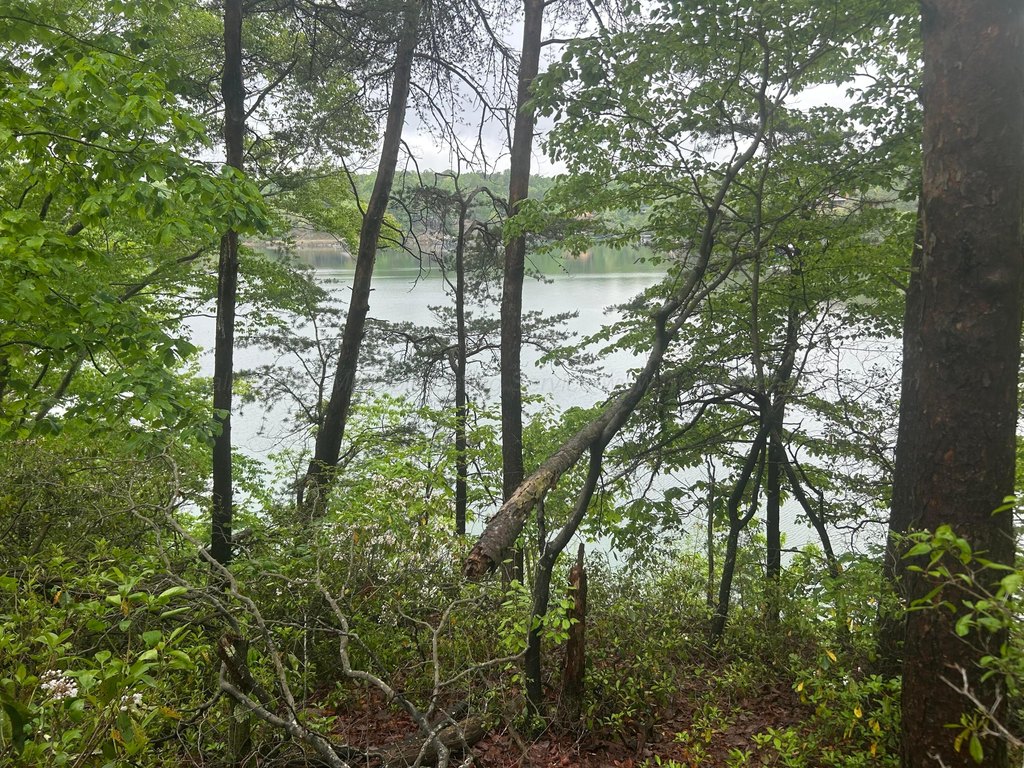 Picture 24