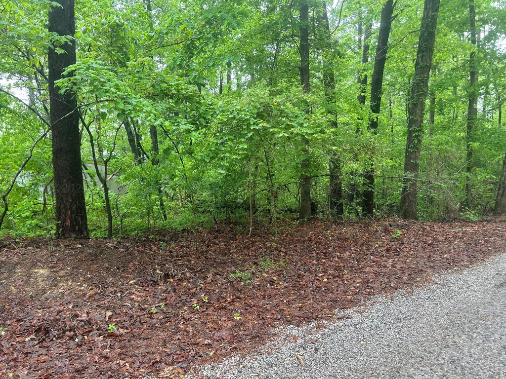 Picture 22