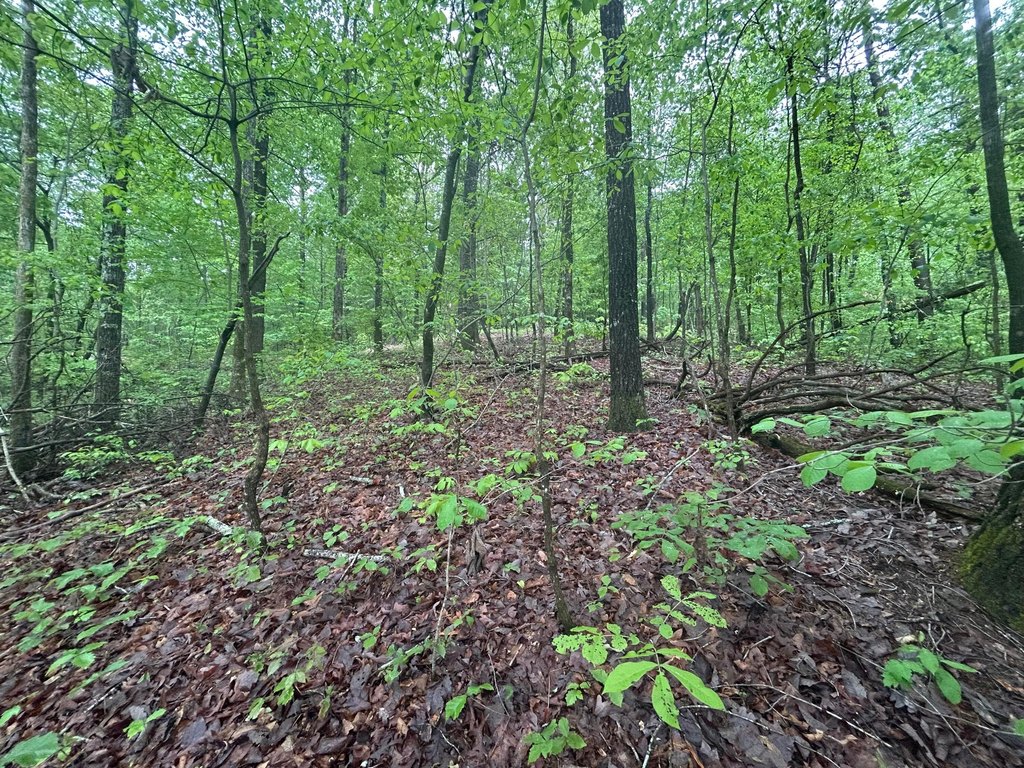 Picture 16