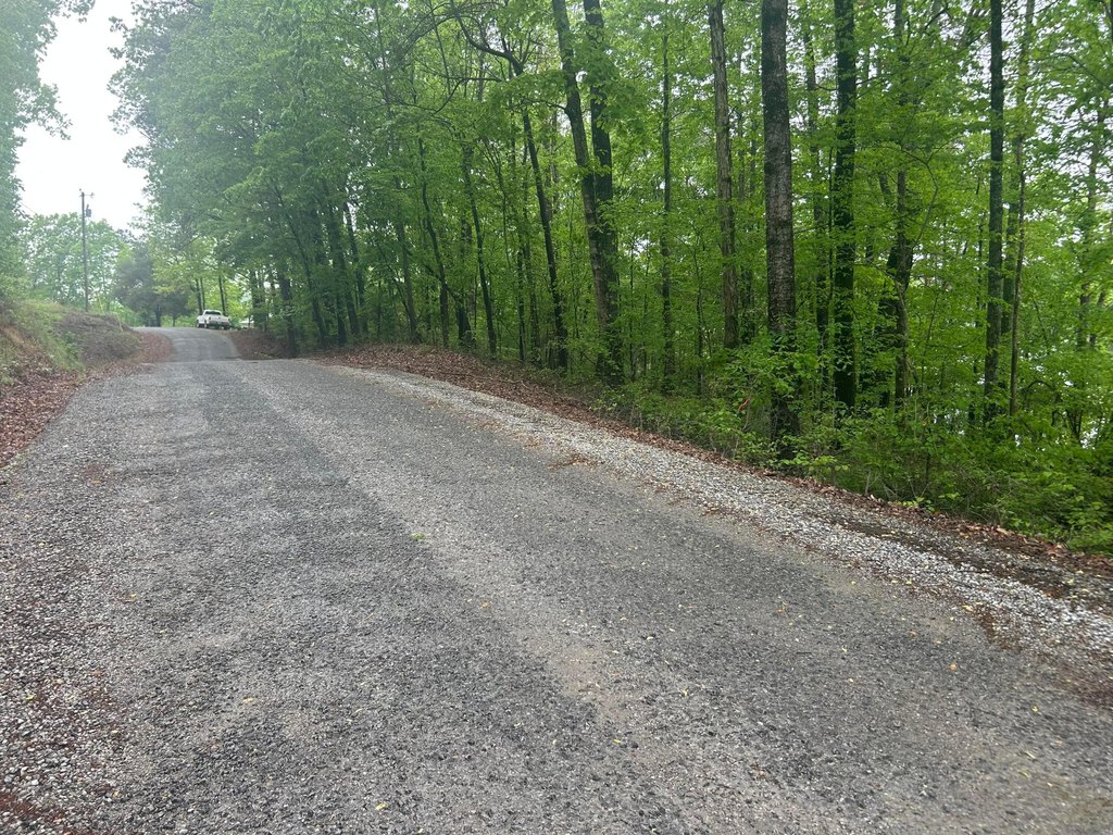 Picture 21
