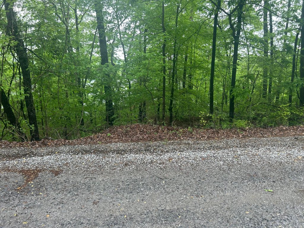 Picture 20