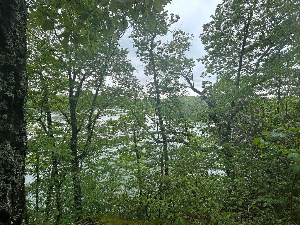 Picture 18