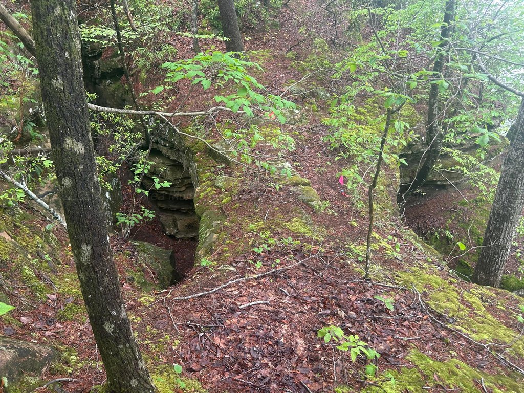 Picture 9