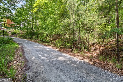 LAND - Chattahoochee Hills, GA