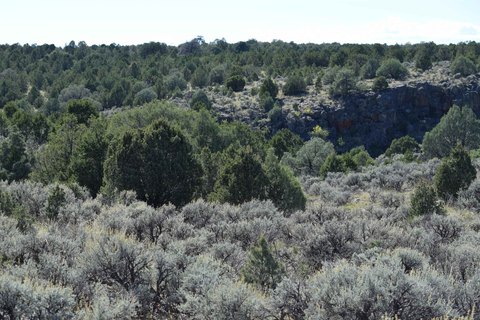 Land with Canyon Views