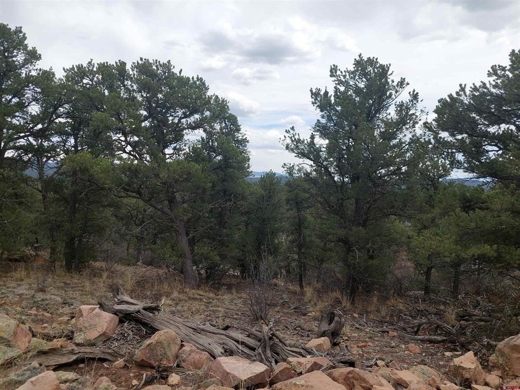 Picture 19