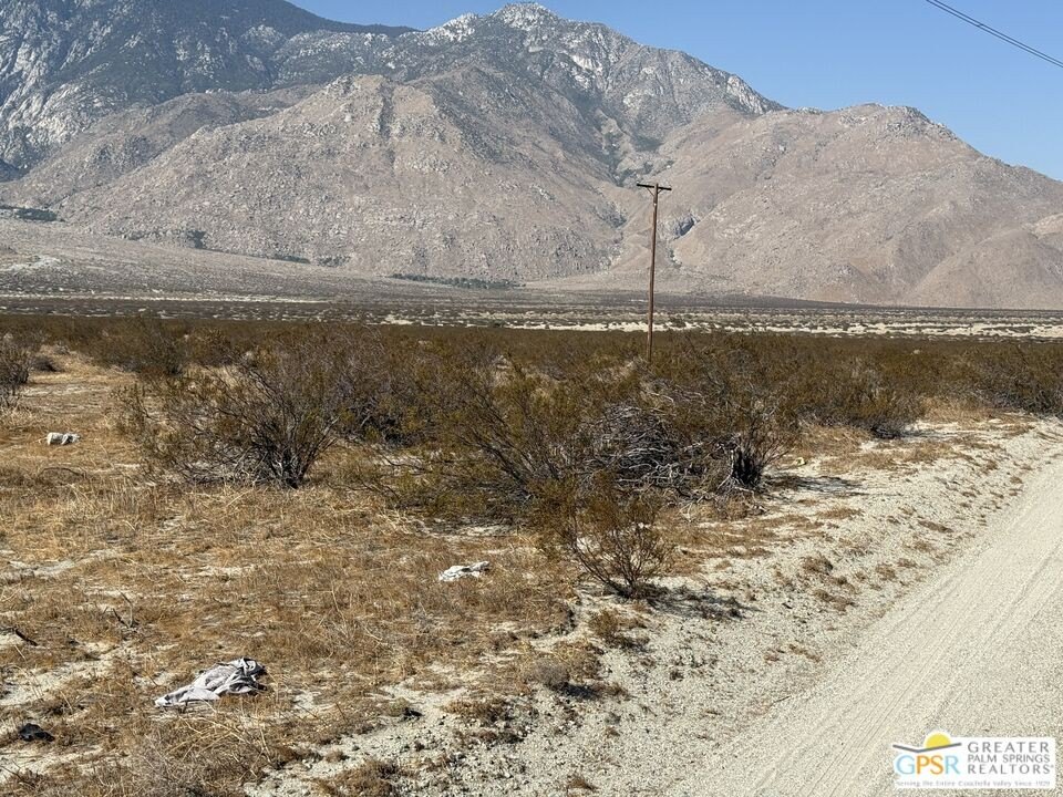 Picture 15