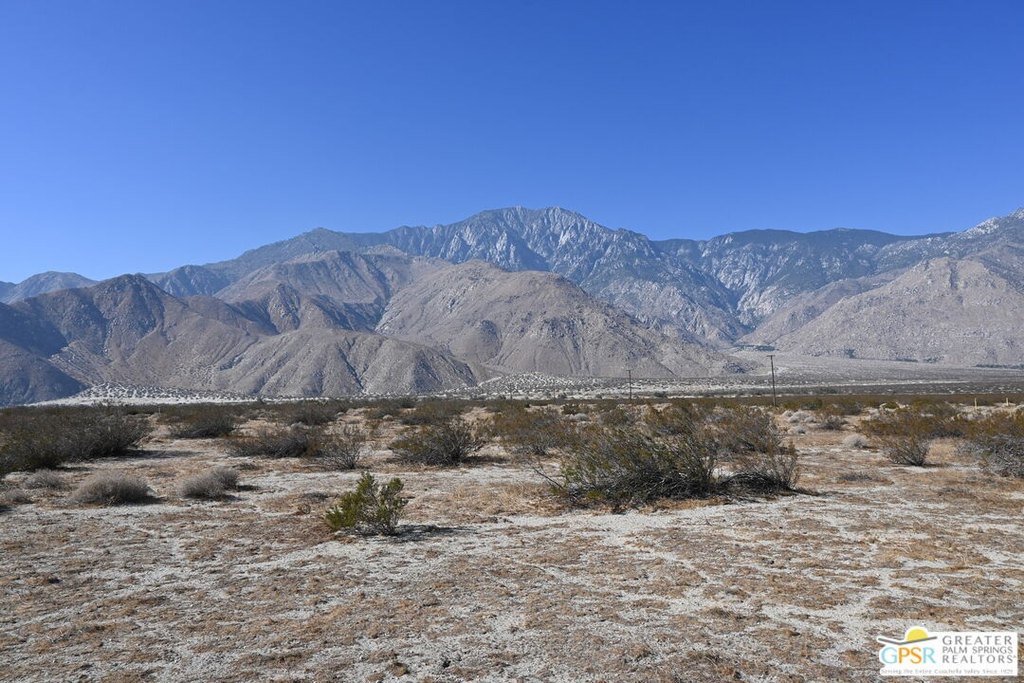 Picture 23