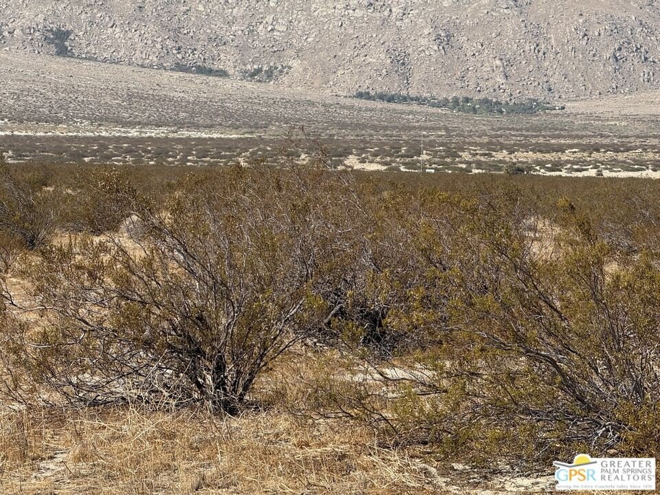 Picture 14
