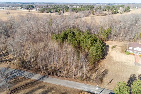 Lexington, TN Buildable Land