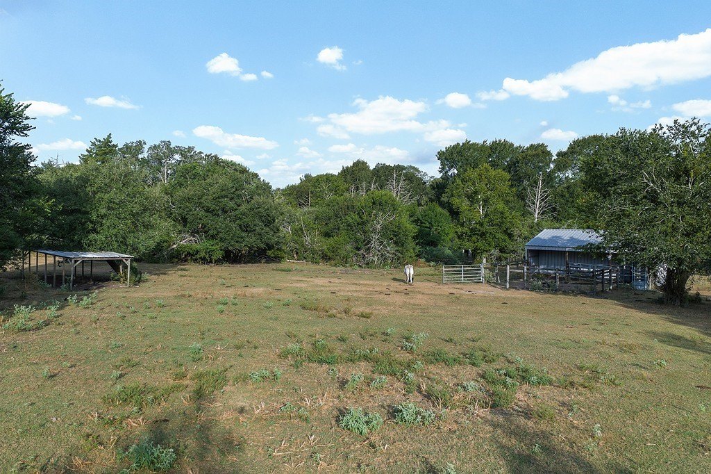 Picture 16