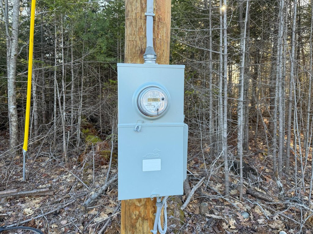 Picture 5