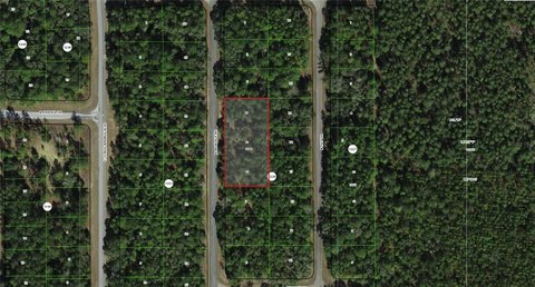 Paved-Road Residential Land Parcel