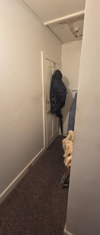 Picture 24