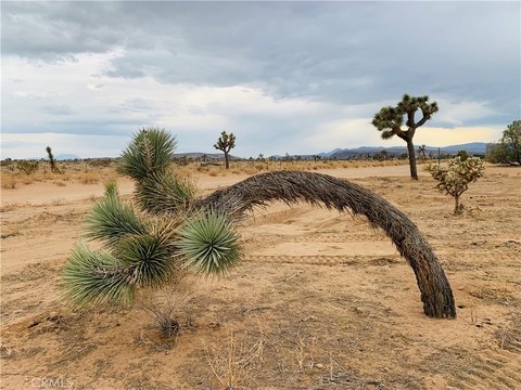 Build-Ready Corner Lot in Yucca