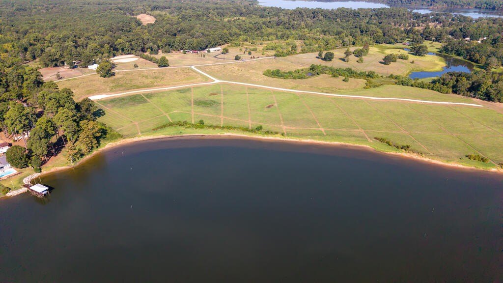 Picture 11