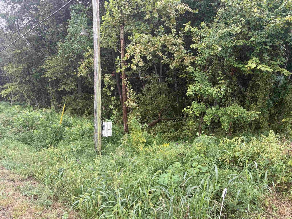 Picture 15