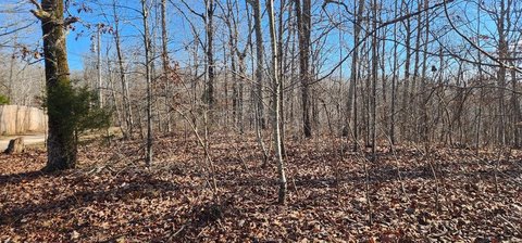 Unrestricted Land in Holladay, TN