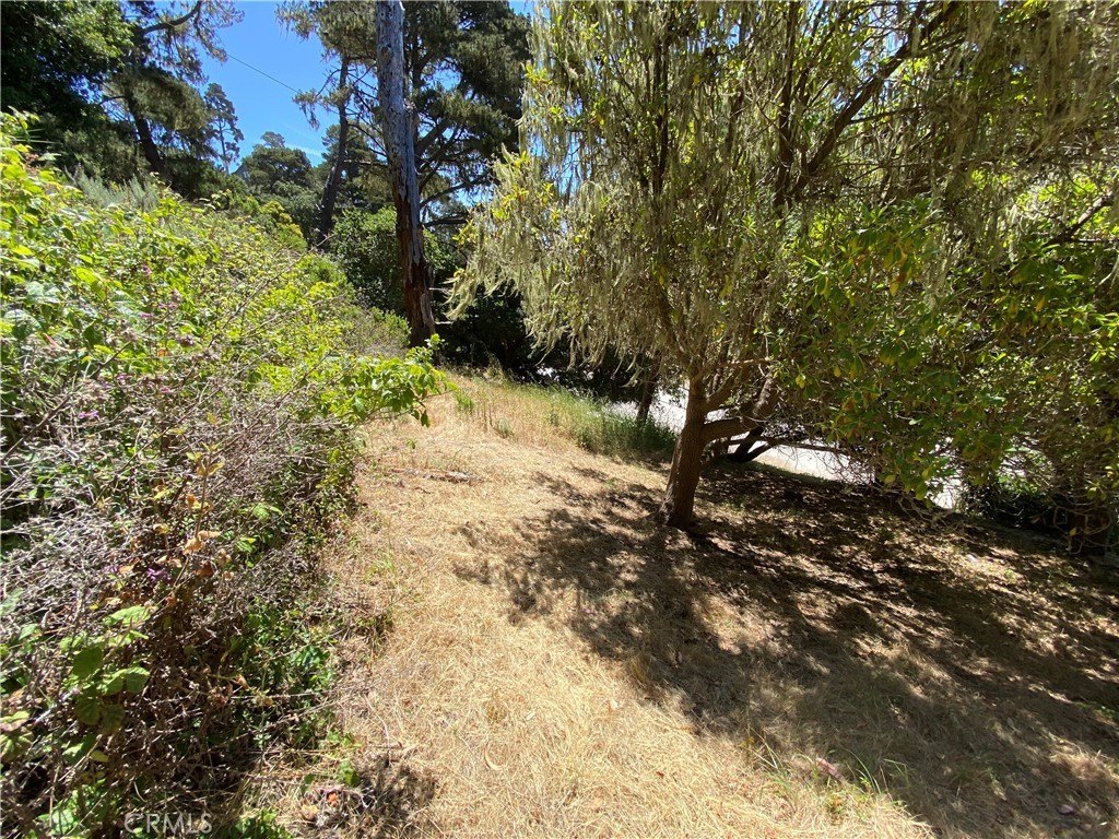 Picture 6