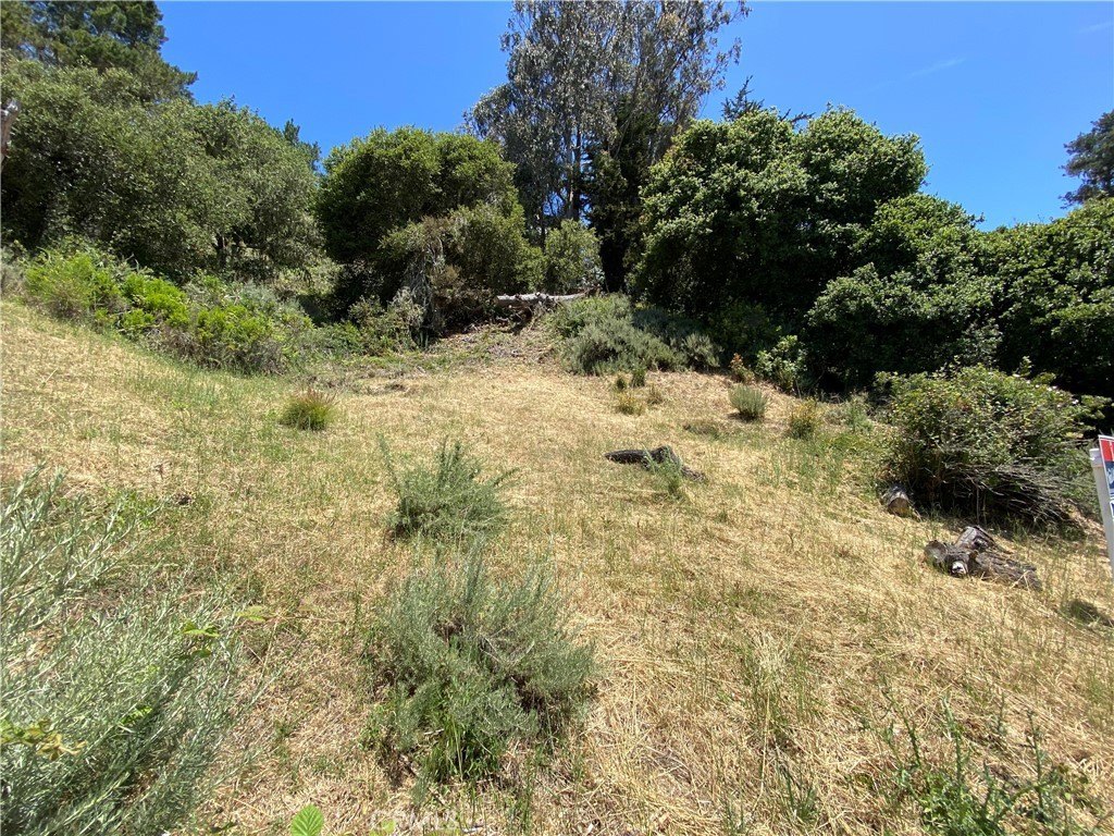 Picture 2