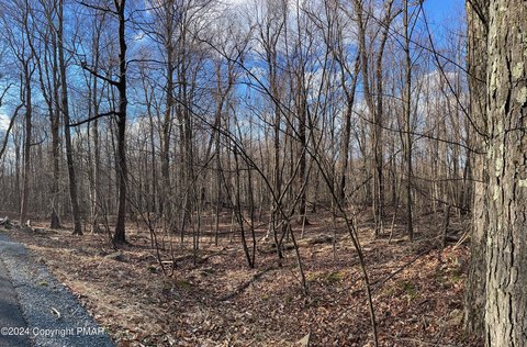 Pocono Springs Land For Sale