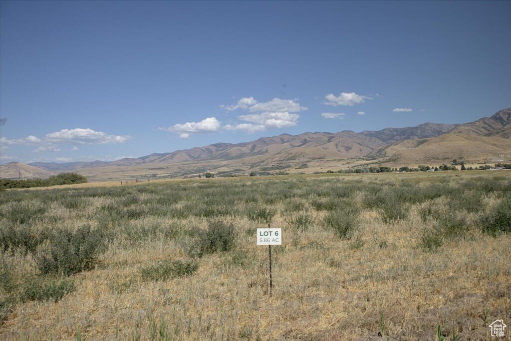 Picture 3