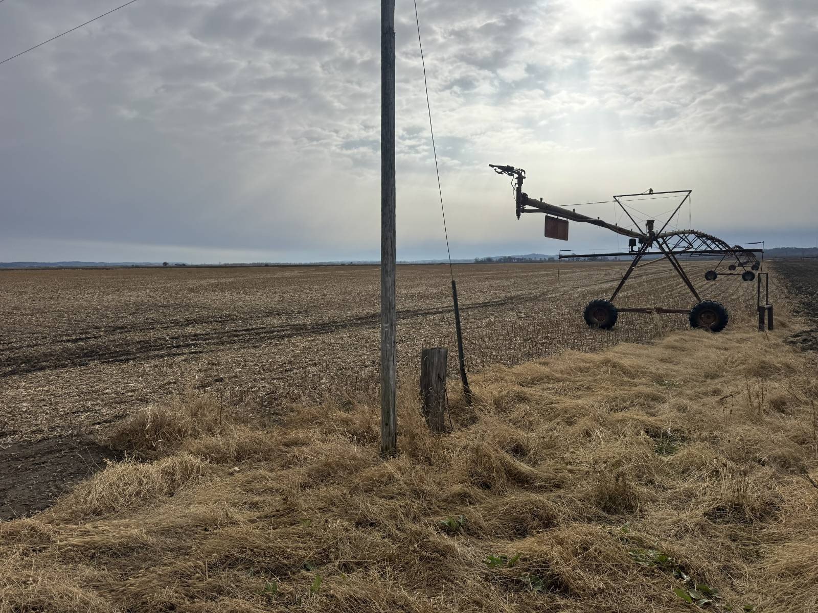 167.8 Acres of Farmland