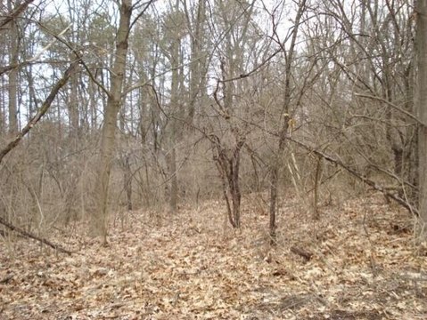 Picture of Land at Helena Ave 2300, Jackson, MI