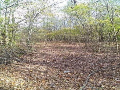 LAND - Millington, TN