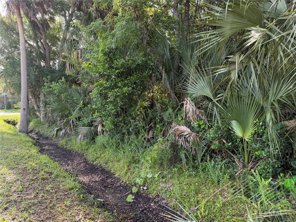 Picture 3