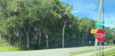 Land, NEW SMYRNA BEACH, FL