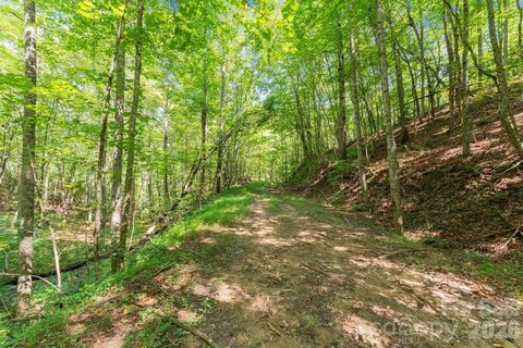 Unrestricted Mountain Land Near Bryson