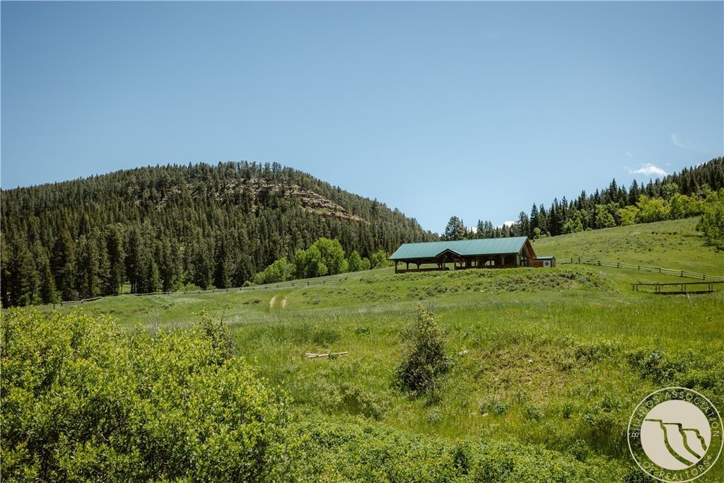 Picture 9