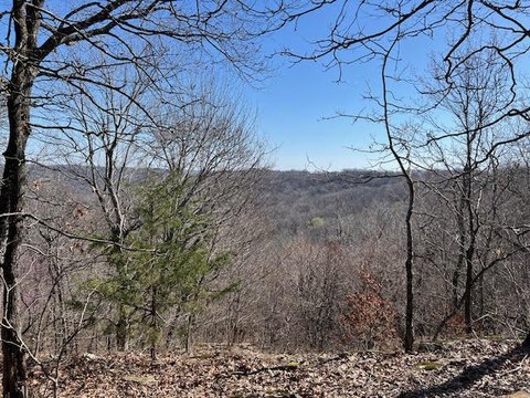 Secluded Wooded Land in Canehill