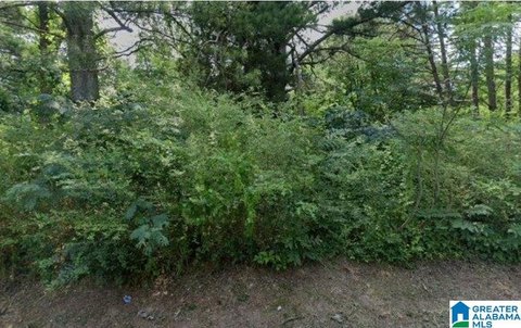 LAND/LOTS, BESSEMER, AL