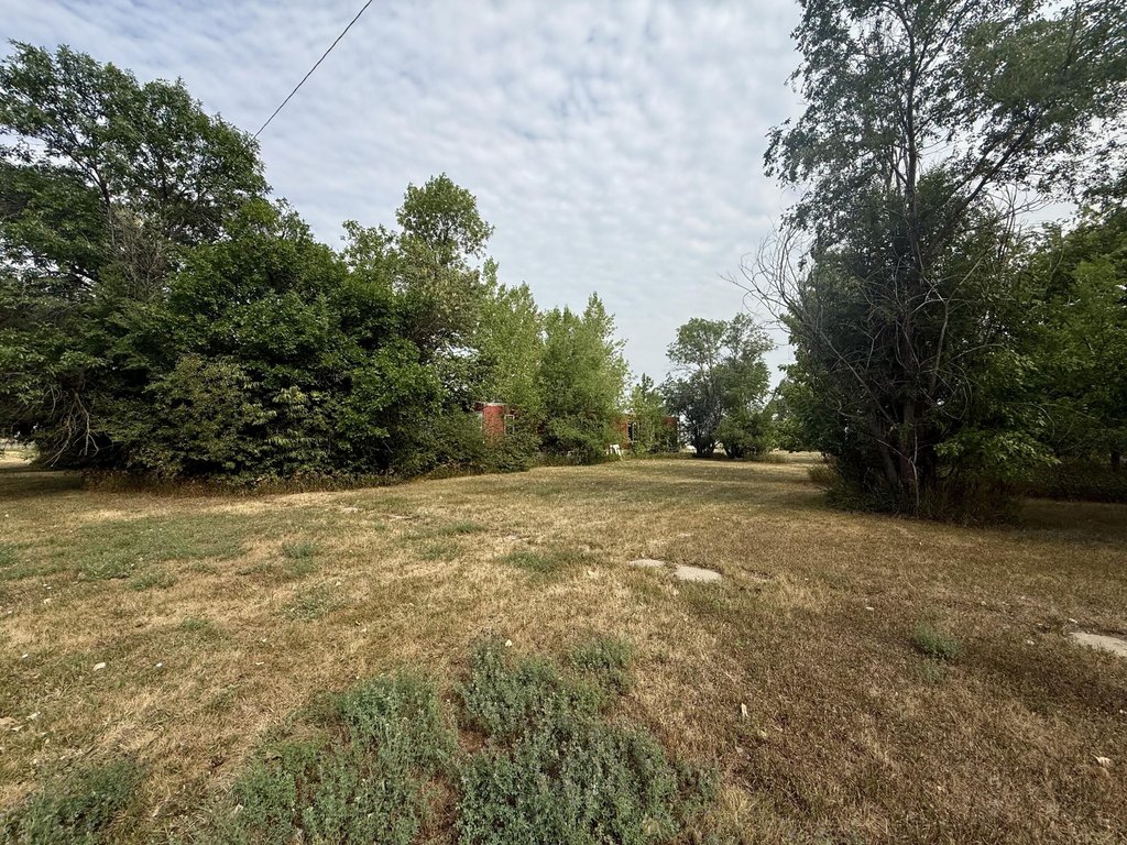 Picture 4