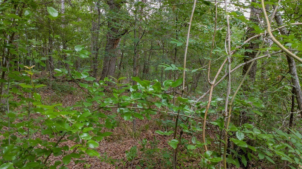 Picture 7