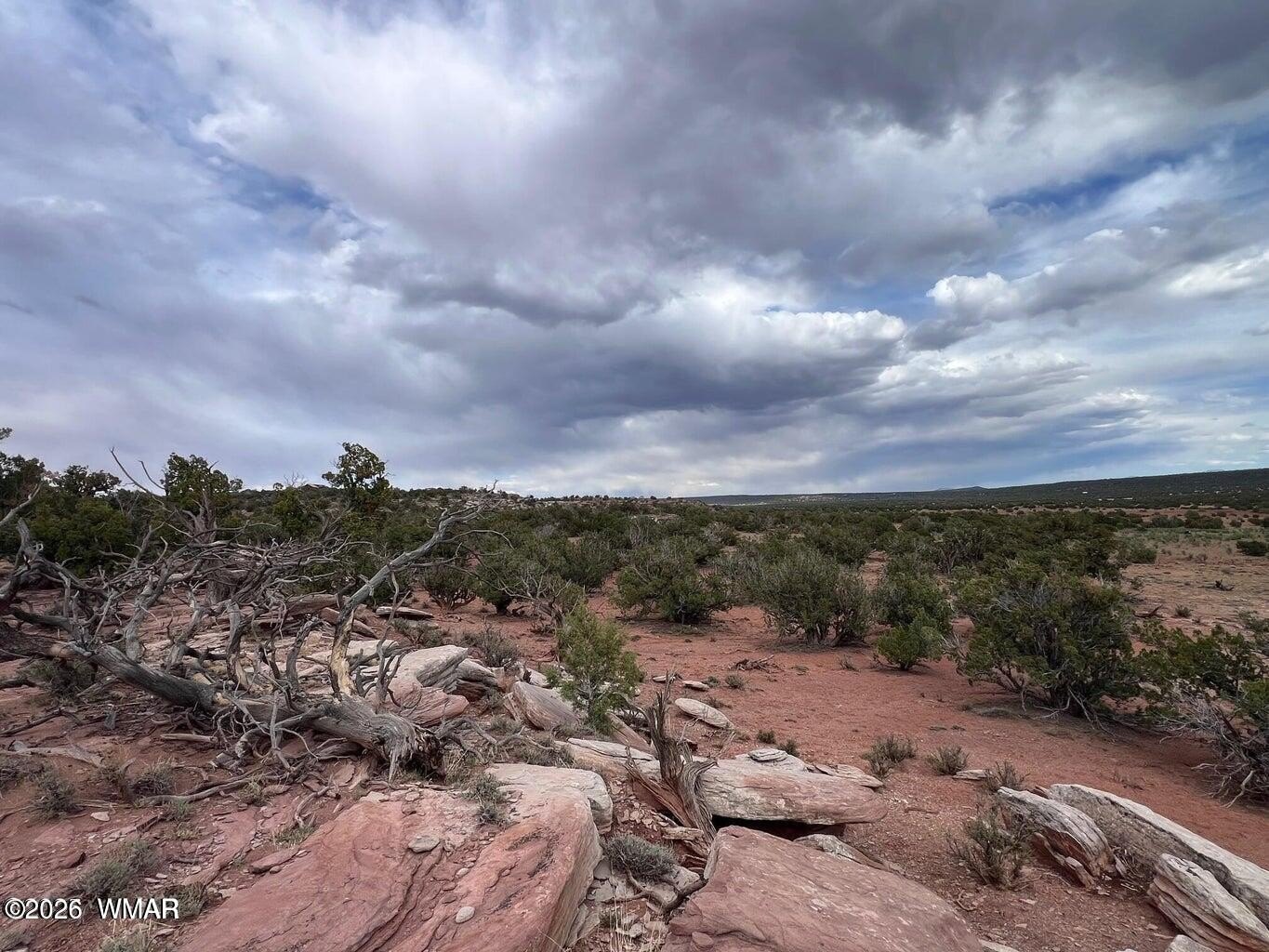 Land with Varied Terrain