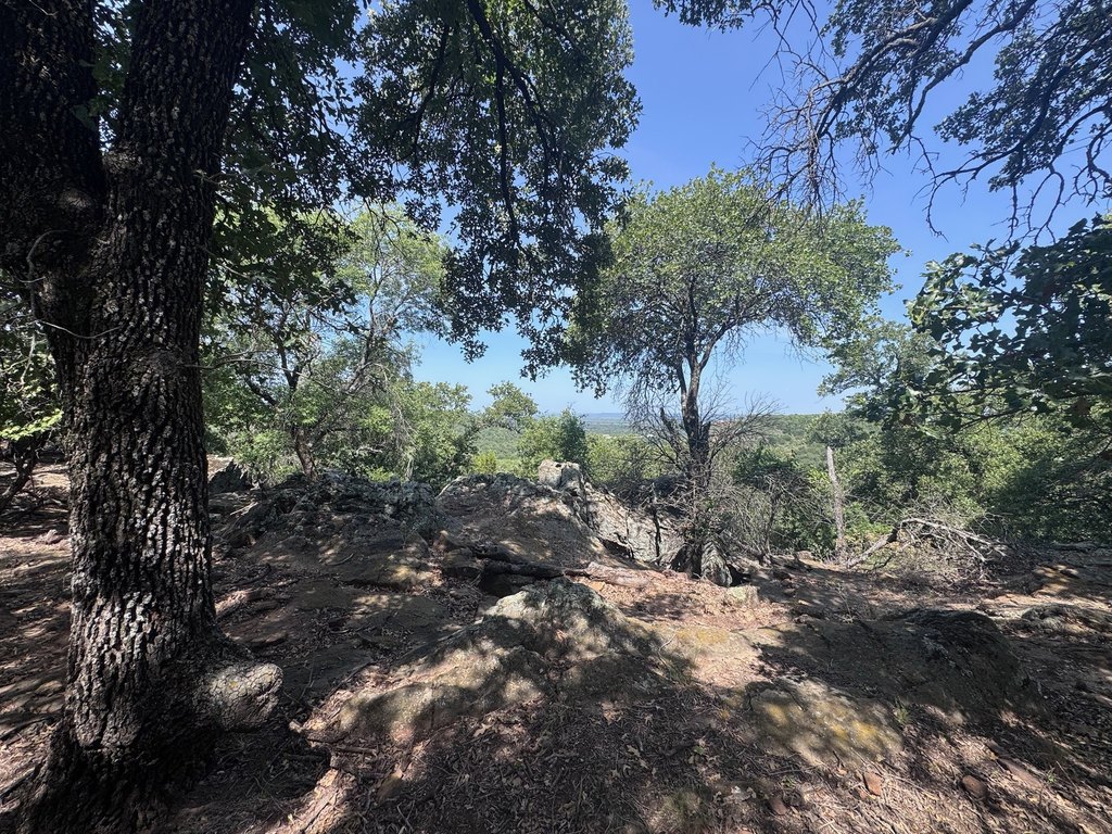 Picture 19