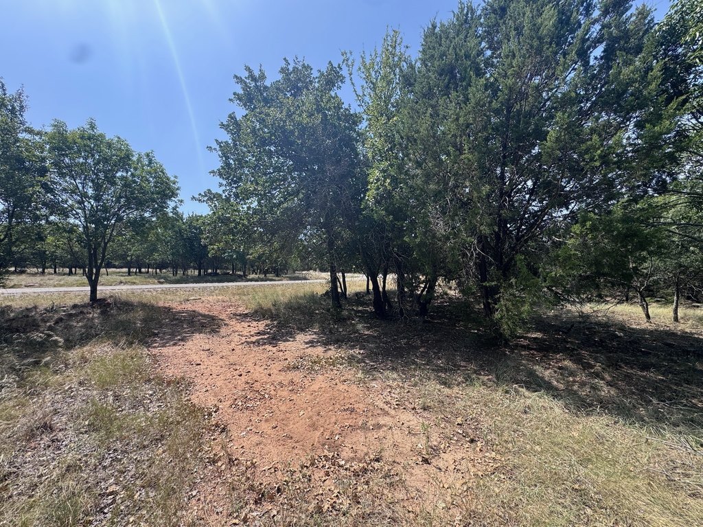 Picture 25