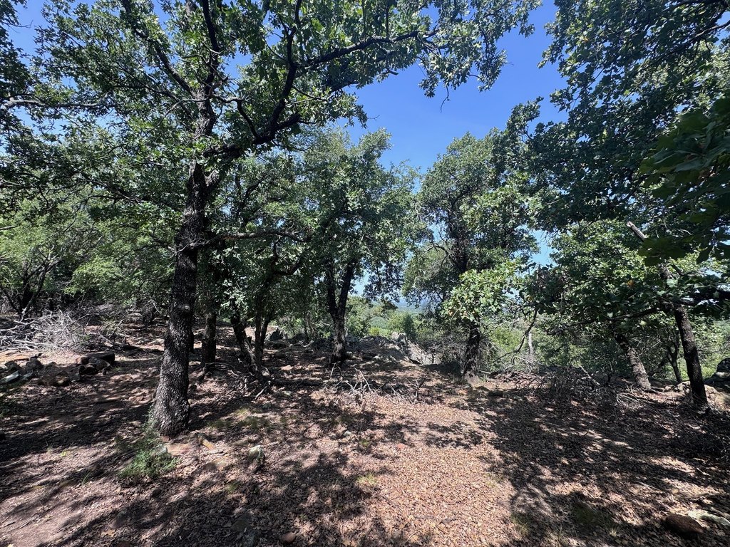 Picture 21