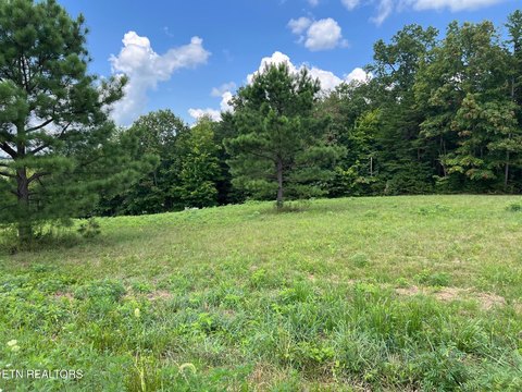 Jamestown TN Equine-Ready Acreage