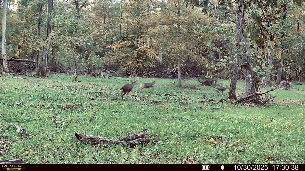 Picture 21