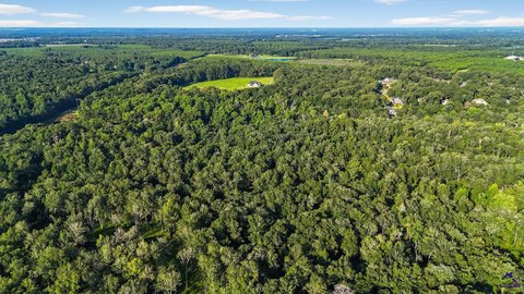 LAND - Perry, GA