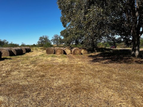 Commercial Development Land