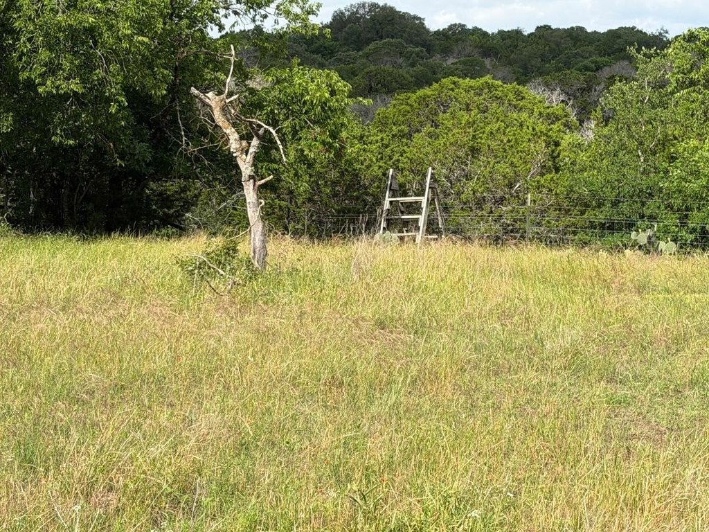 Picture 18