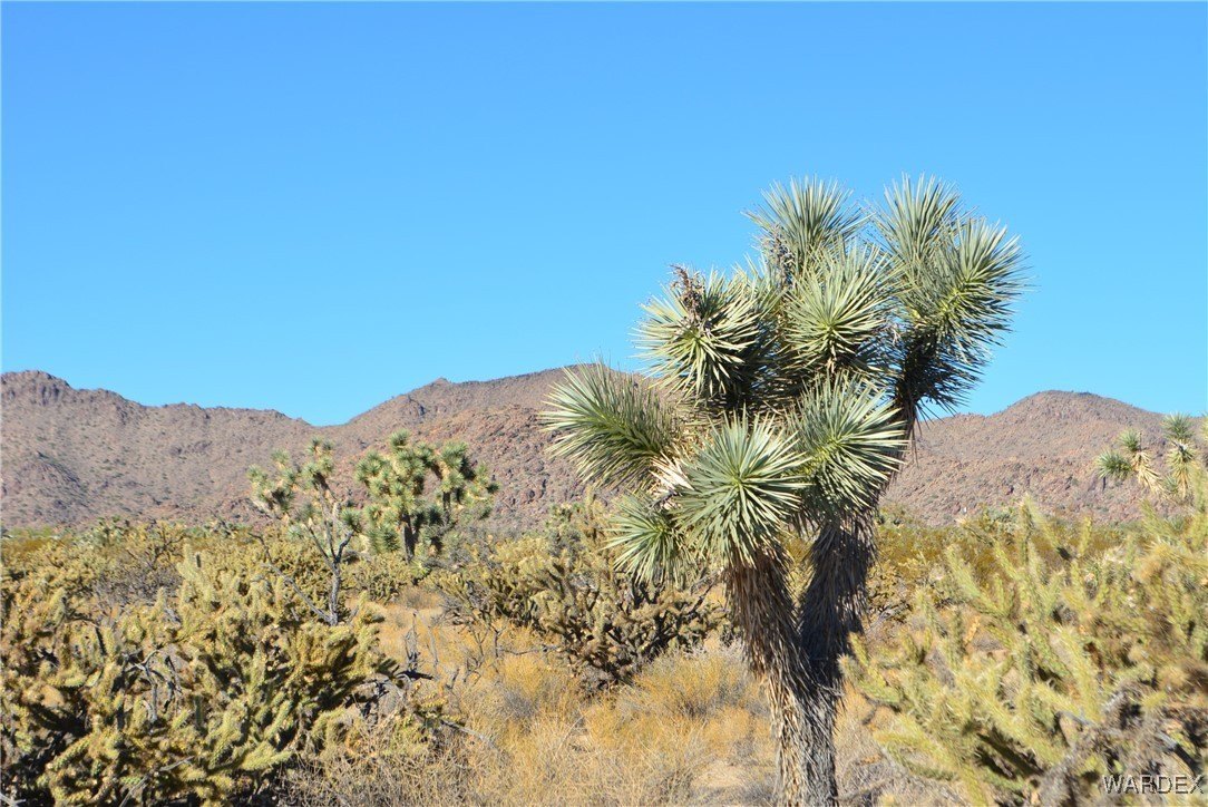 Land Near Federal Lands