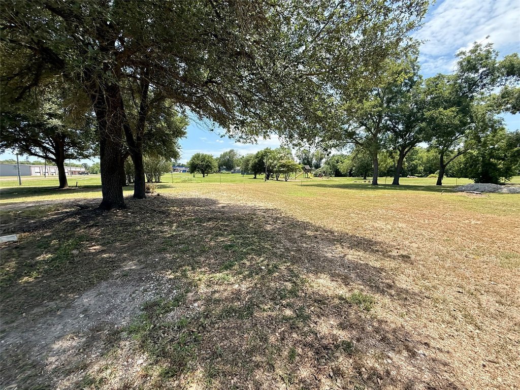 Picture 17