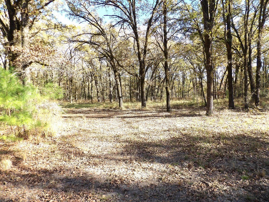 Picture 18