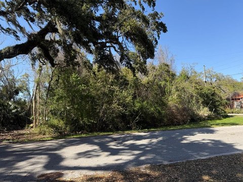 Apalachicola Double Lot in Historic District